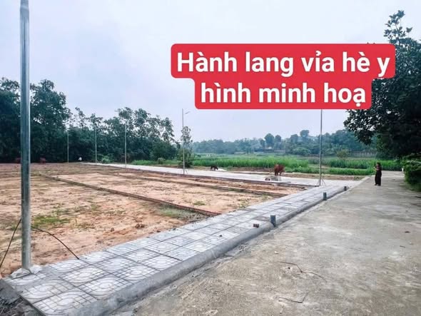 Đất nền thôn Quẵng, xã Tam Quan, 111.3m² & 111.5m² - Cơ hội đầu tư hấp dẫn!