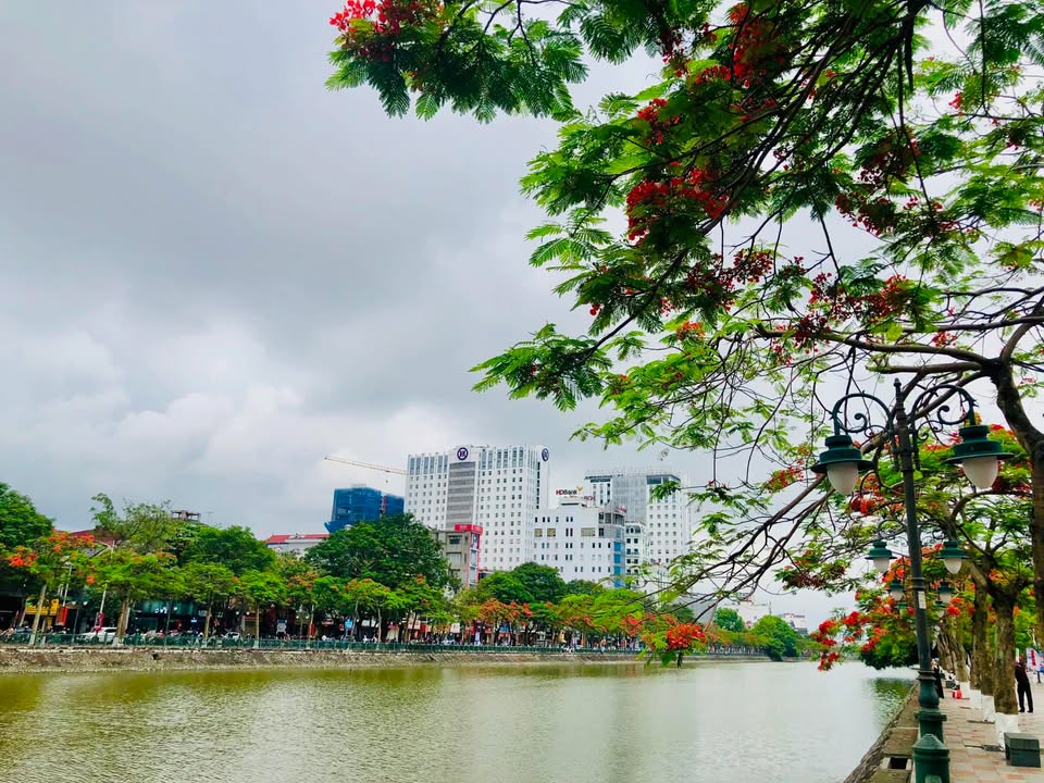 Nhà mặt ngõ Nguyễn Đức Cảnh 64m² giá 5.5 tỷ - Gần hồ Tam Bạc!