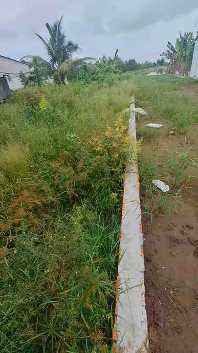 Đất thổ cư Thới Lai 240m² giá 700 triệu - Vị trí đắc địa, kinh doanh thuận lợi!