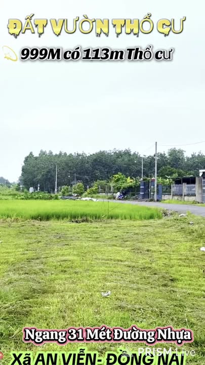 Đất nền thổ cư 113m² mặt đường Đồi 61 Trảng Bom - Giá 1.7 tỷ, đầu tư sinh lời!