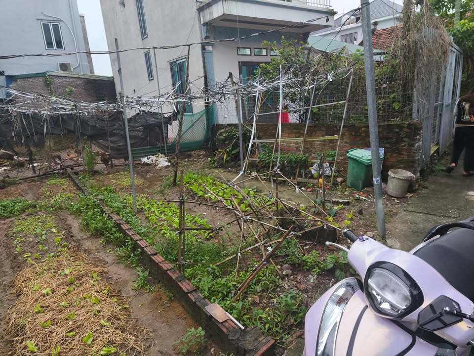 Đất nền Ngọc Hồi 70m² giá 4 tỷ - Cơ hội đầu tư sinh lời cao!