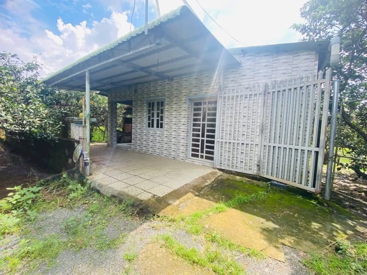 Nhà vườn Tân Triều 1350m² giá 4 tỷ - Sổ riêng, tiện nghi đầy đủ!