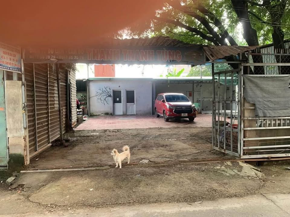 Cho thuê mặt bằng Trảng Dài, Biên Hòa 255m² giá 5 triệu - Phù hợp làm kho chứa hàng!