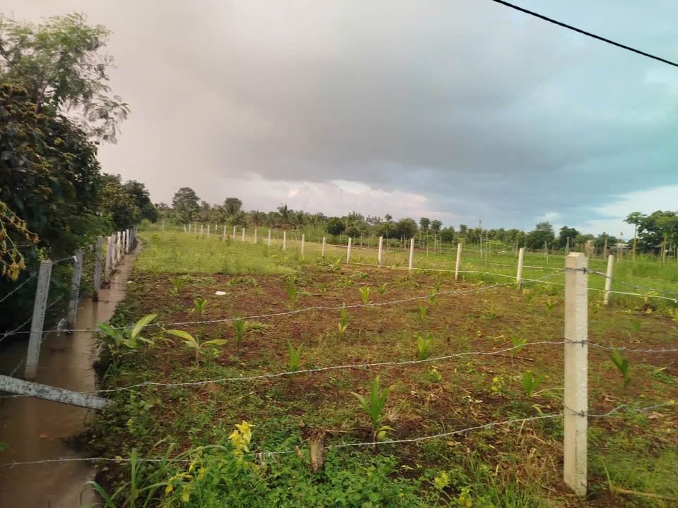 Đất nông nghiệp 700m² tại Hoà Khánh giá 550 triệu - Cơ hội đầu tư hấp dẫn!