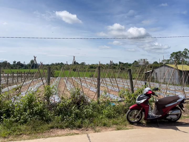 Đất nông nghiệp 1 sào tại Ea Ning, Cư Kuin - Giá 860 triệu, sổ đỏ chính chủ!