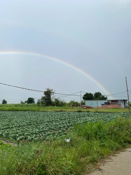 Đất Farm 3 xào tại xã Phú An, Đak Pơ giá 5 tỷ - Đầu tư sinh lời ngay!