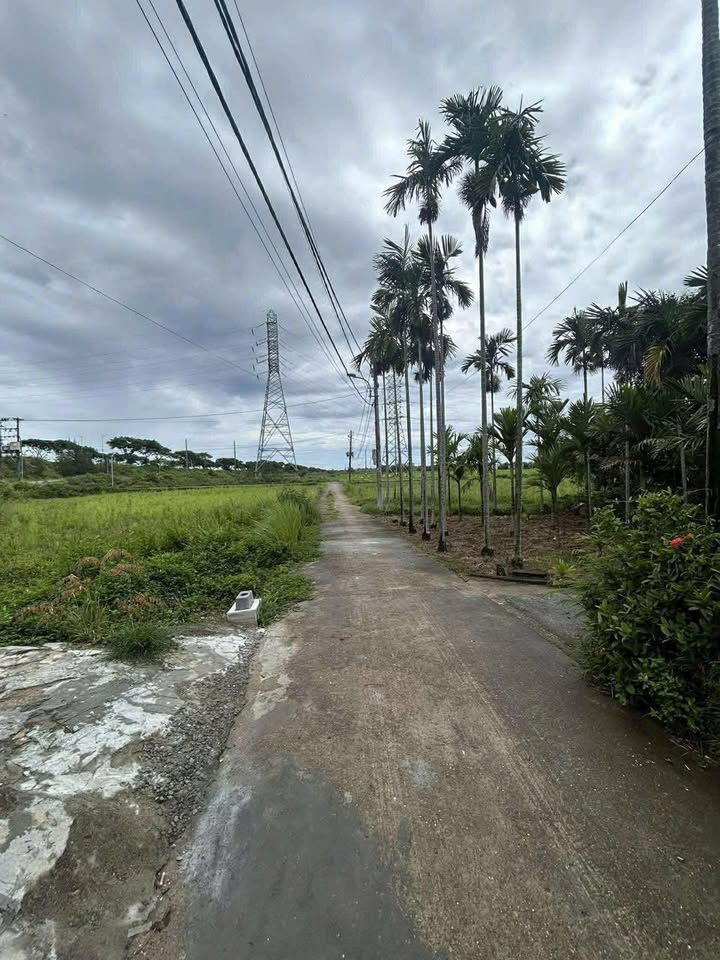 Nhà cho thuê tại đường Nam Kỳ Khởi Nghĩa, quận Ngũ Hành Sơn 90m² - Nội thất đầy đủ, giá chỉ 5 triệu/tháng!