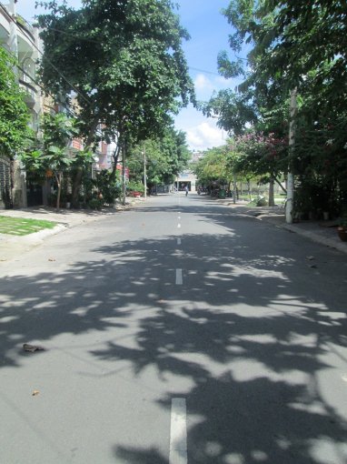 Nhà nát Lạc Long Quân Q11 44m² giá 6.5 tỷ - Tiện xây mới ngay!