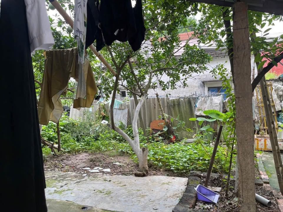 Đất nền Tây Mỗ, Nam Từ Liêm 50m² giá 5.9 tỷ - Đầu tư sinh lời hiệu quả!