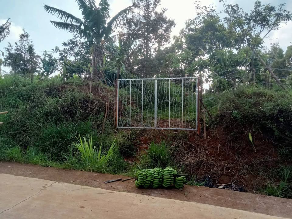 Đất thổ cư Lộc Đức 290m² giá 1.1 tỷ - Đầu tư sinh lời ngay!