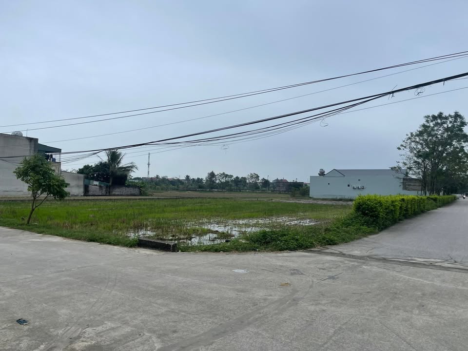 Mặt bằng 198m² tại Quảng Lưu - Giá chỉ 900 triệu, cơ hội đầu tư tuyệt vời!