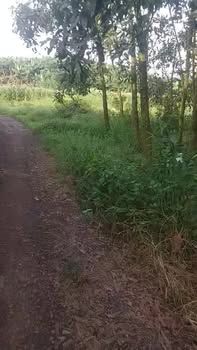 Đất mặt tiền 57m tại Trảng Bom, Đồng Nai 2800m² giá 1 tỷ - Đầu tư sinh lời hấp dẫn!