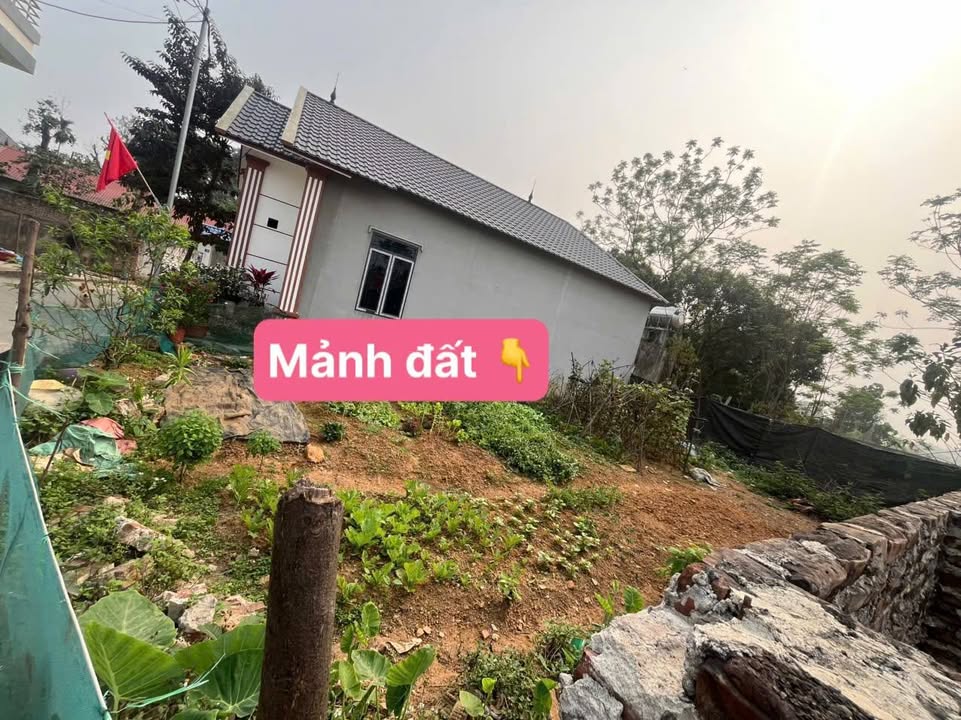 Đất nền Trạch Mỹ Lộc, Phúc Thọ 100m² giá 2 tỷ - Kinh doanh sầm uất