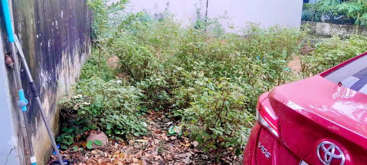 Đất nền Kim Chung, Đông Anh 80m² giá 5 tỷ - Gần chợ Mun, ô tô đỗ cửa!