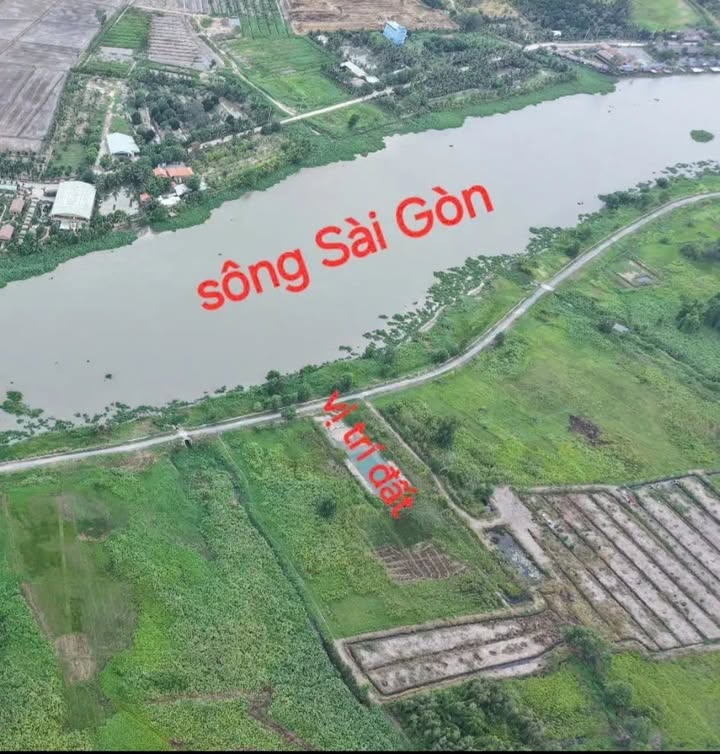 Đất mặt tiền Sông Sài Gòn, Củ Chi 1217m² giá 3.2 tỷ - Đầu tư lý tưởng!