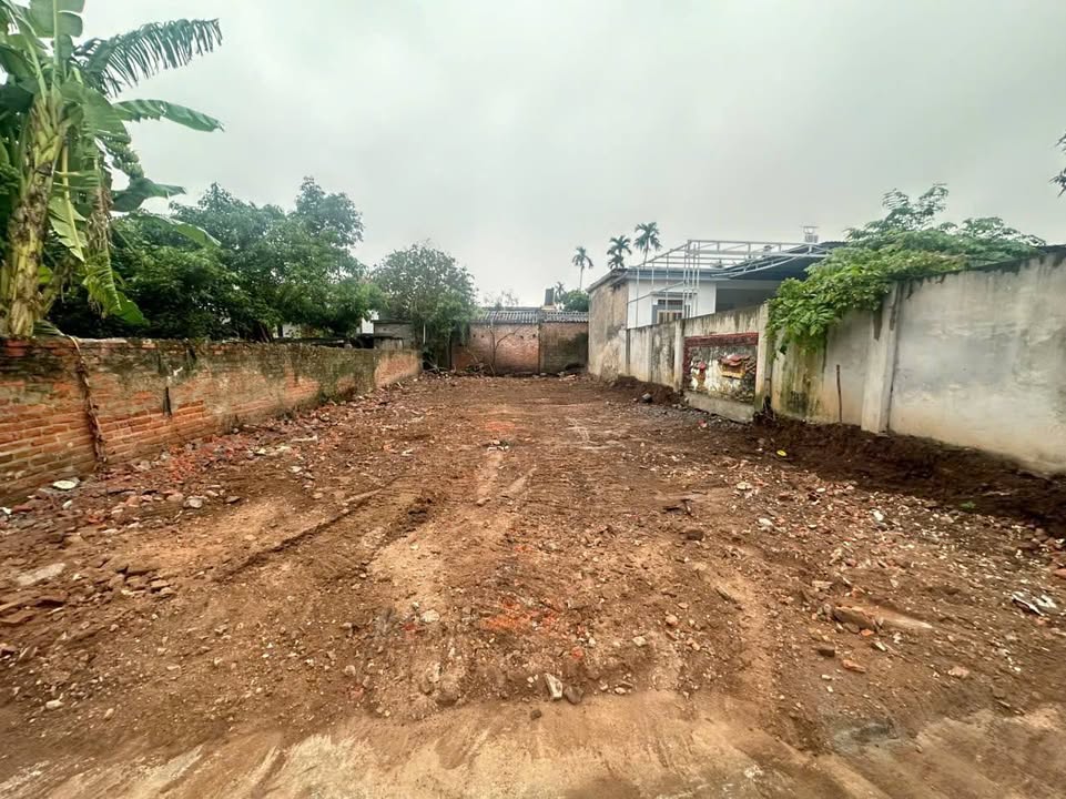 Đất nền Tiên Thanh - Hải Phòng 80m² giá 1.25 tỷ - Cơ hội đầu tư hấp dẫn!