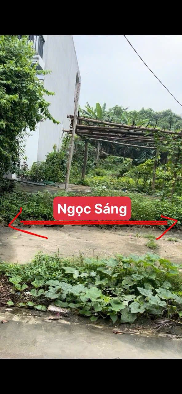 Lô đất đẹp Tổ dân phố Đức Thịnh, Thị trấn Thắng, 100m² - Tiềm năng đầu tư cực hiếm!