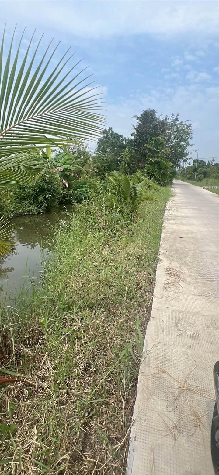 Đất thổ cư 300m² xã Hòa Phú, Châu Thành, Tây Ninh - Giá chỉ 1.75 tỷ!