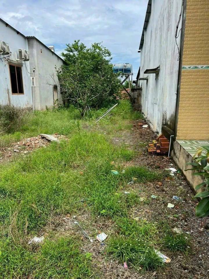 Đất thổ cư Tân Uyên 483.8m² giá 1.2 tỷ - Đầu tư sinh lời ngay!