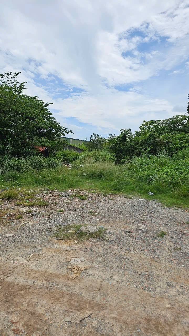 Đất mặt tiền đường DH 423 Nguyễn Khuyến, Tân Hiệp 1176m² giá 14.5 tỷ - Cơ hội đầu tư tuyệt vời!