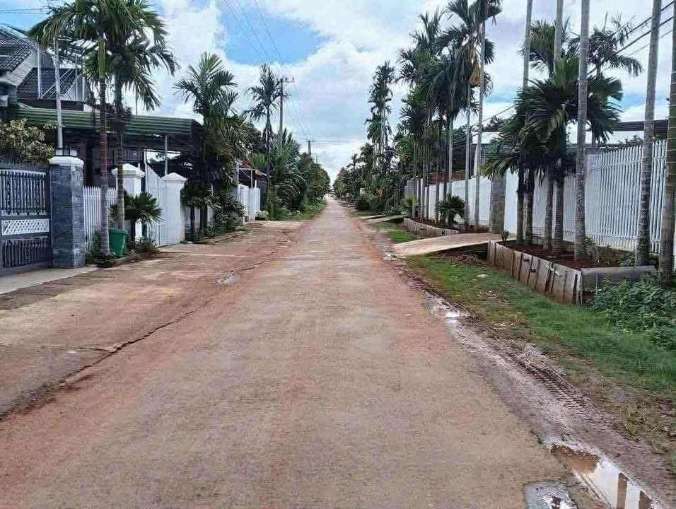 Đất thổ cư Đắk Lao 245m² - Đất bằng đẹp, giá thỏa thuận!