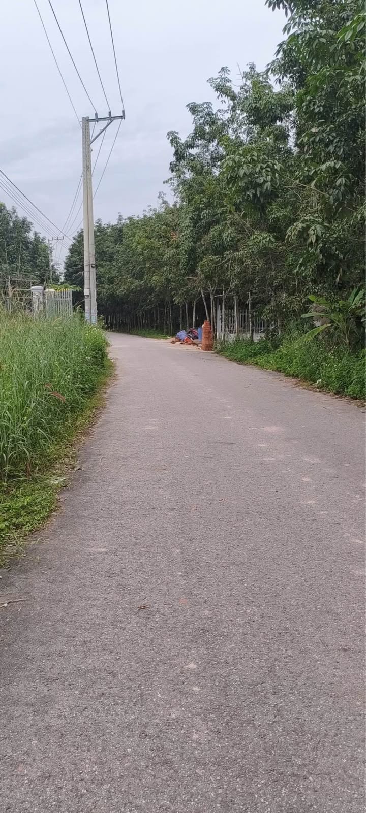 Đất nền Chánh Phú Hòa 320m² giá 1.7 tỷ - Mặt tiền đường nhựa thông thoáng!