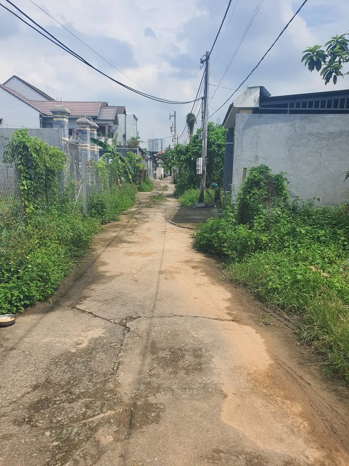 Đất thổ cư Bình Nhâm 36, 145m² giá 2.9 tỷ - Cơ hội đầu tư không thể bỏ lỡ!