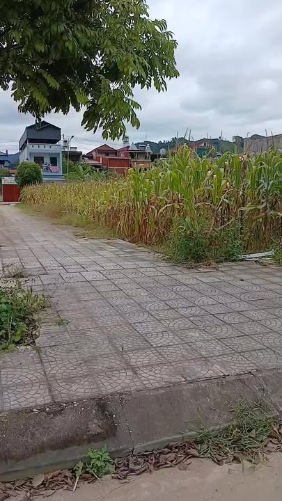 Đất nền góc 100m² tại Thị trấn Đình Cả, Võ Nhai - Sổ đỏ chính chủ, vị trí đắc địa!