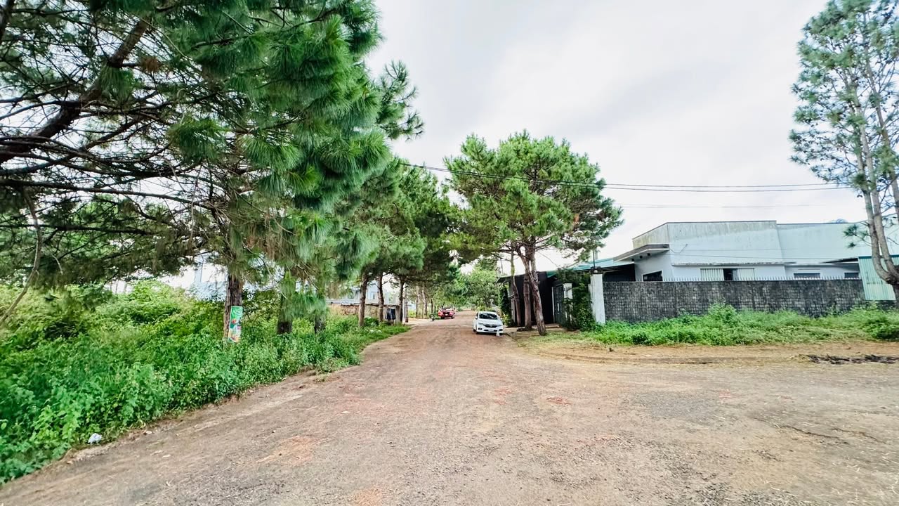 Đất nền Diên Hồng Pleiku 125m² - Hướng Tây, thỏa thuận giá