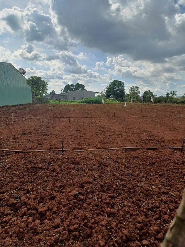 Đất nền đường Nguyễn Chí Thanh, phường An Phú, Gia Lai 1240m² giá 9.43 tỷ - Pháp lý rõ ràng, xây dựng tự do!