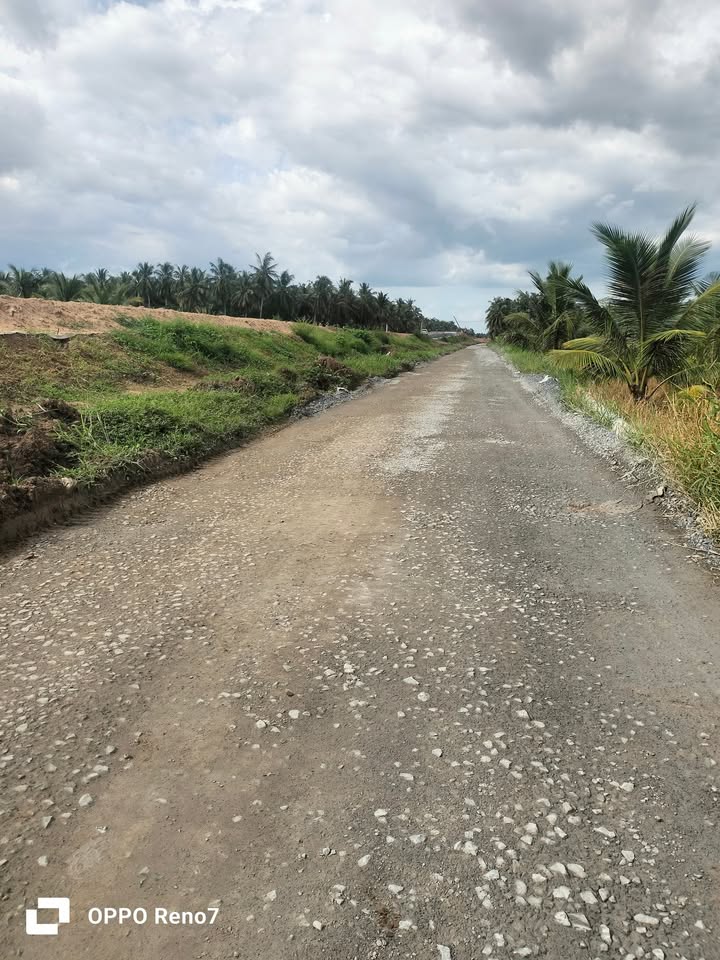 Đất nền xã Hùng Hòa, huyện Tiểu Cần 1113m² giá 3.15 tỷ - Cơ hội đầu tư hấp dẫn!