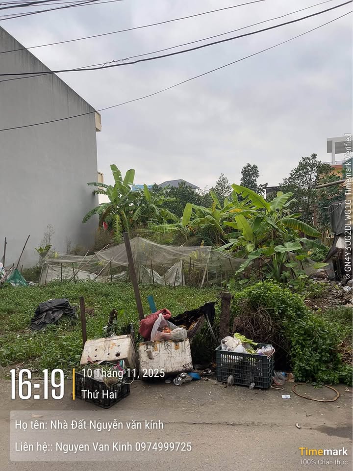 Đất nền Hoàng Diệu, Thái Bình 140m² - Vị trí đắc địa, giá thỏa thuận!