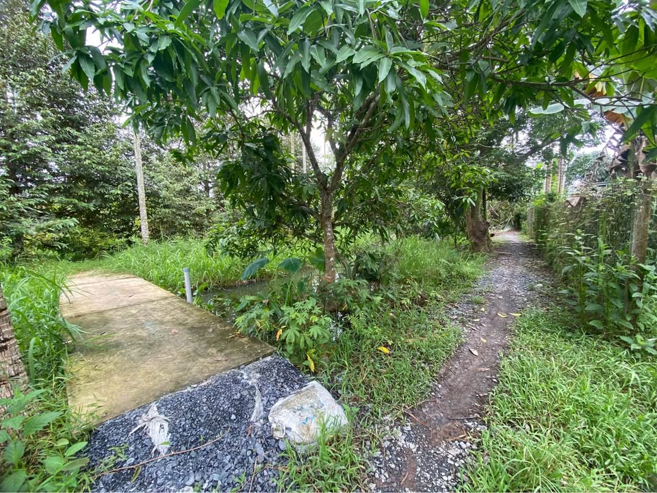 Đất công chính chủ Cái Răng 1350m² giá 900 triệu - Cơ hội đầu tư hấp dẫn!