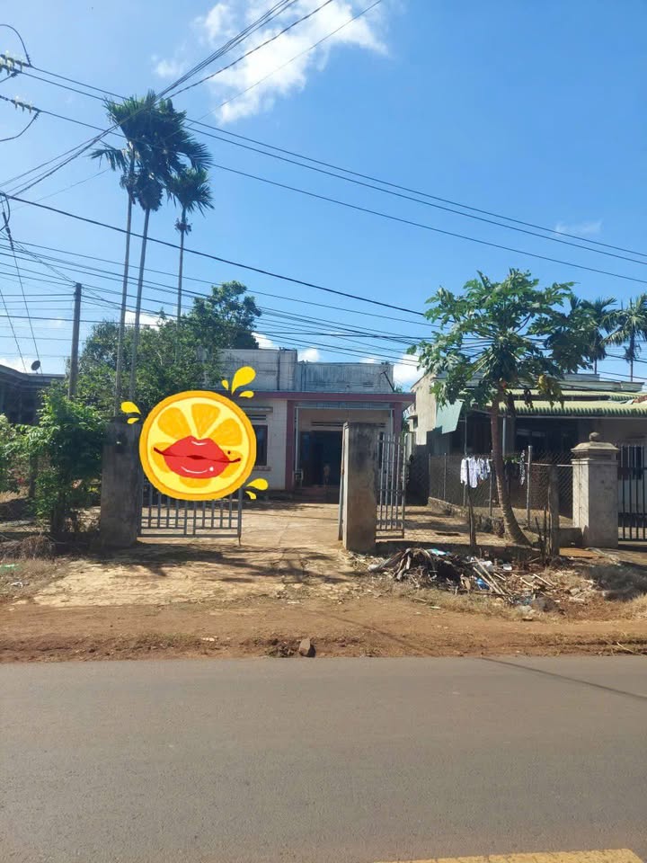 Bán đất mặt tiền QL29 xã Phú Xuân 515.1m² - Đầu tư sinh lời ngay!
