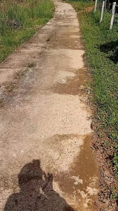 Đất rẫy Tân Thành Lâm Hà 50000m² giá 900 triệu - Sổ đỏ chính chủ!