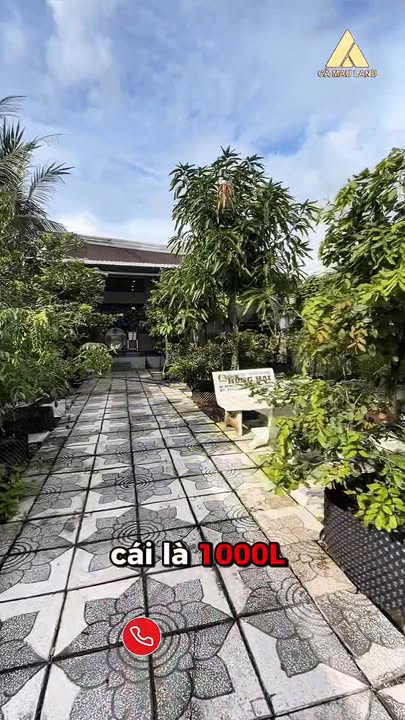 Nhà vườn 582m² phường Tân Thành Cà Mau - Vị trí đẹp, thổ cư sẵn có!