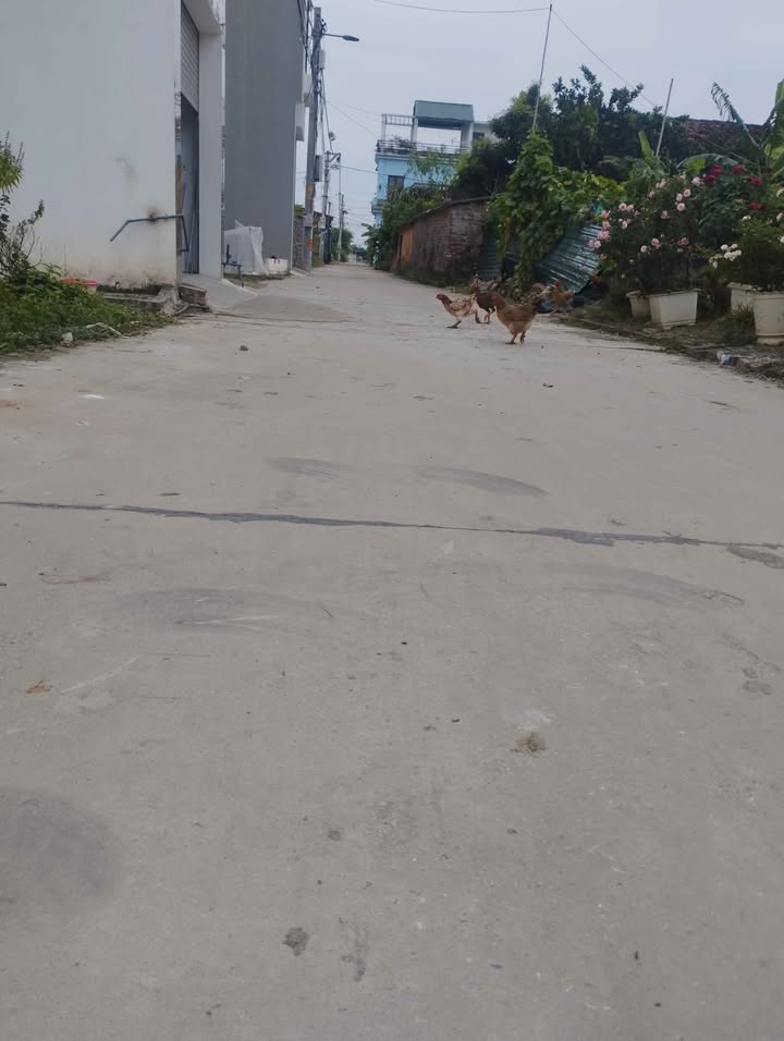 Đất nền tại tổ 9, thị trấn Quang Minh, 69m² giá chỉ 6.486 tỷ - Đầu tư sinh lời ngay!