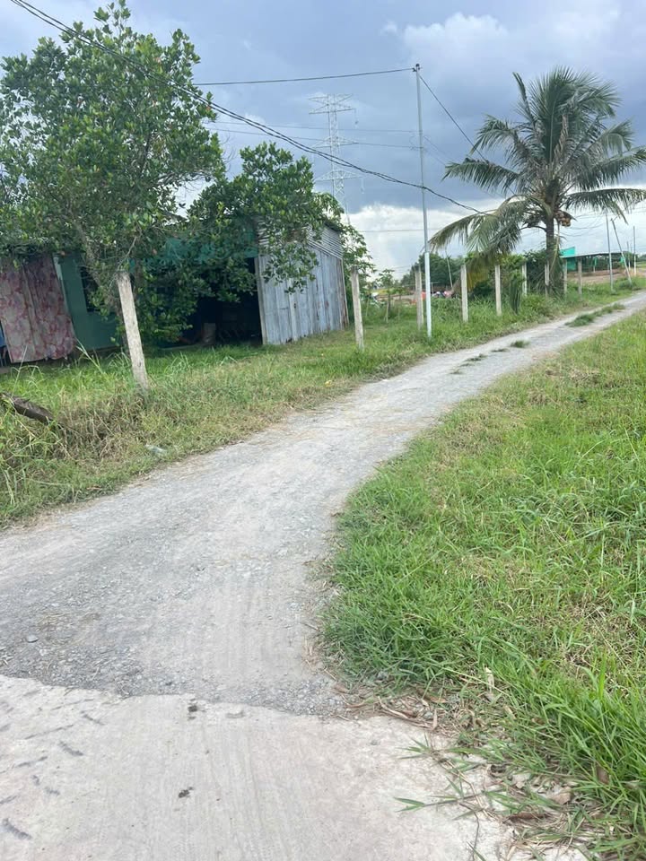 Đất lúa Hiệp Hòa, Đức Hòa, Long An 5287m² giá 2.5 tỷ - Cơ hội đầu tư tuyệt vời!