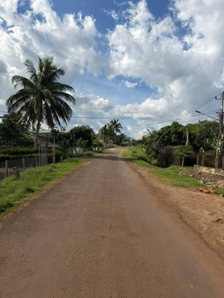 Đất mặt tiền đường Âu Cơ, phường Đoàn Kết 250m² giá 1.65 tỷ - Cơ hội đầu tư tuyệt vời!