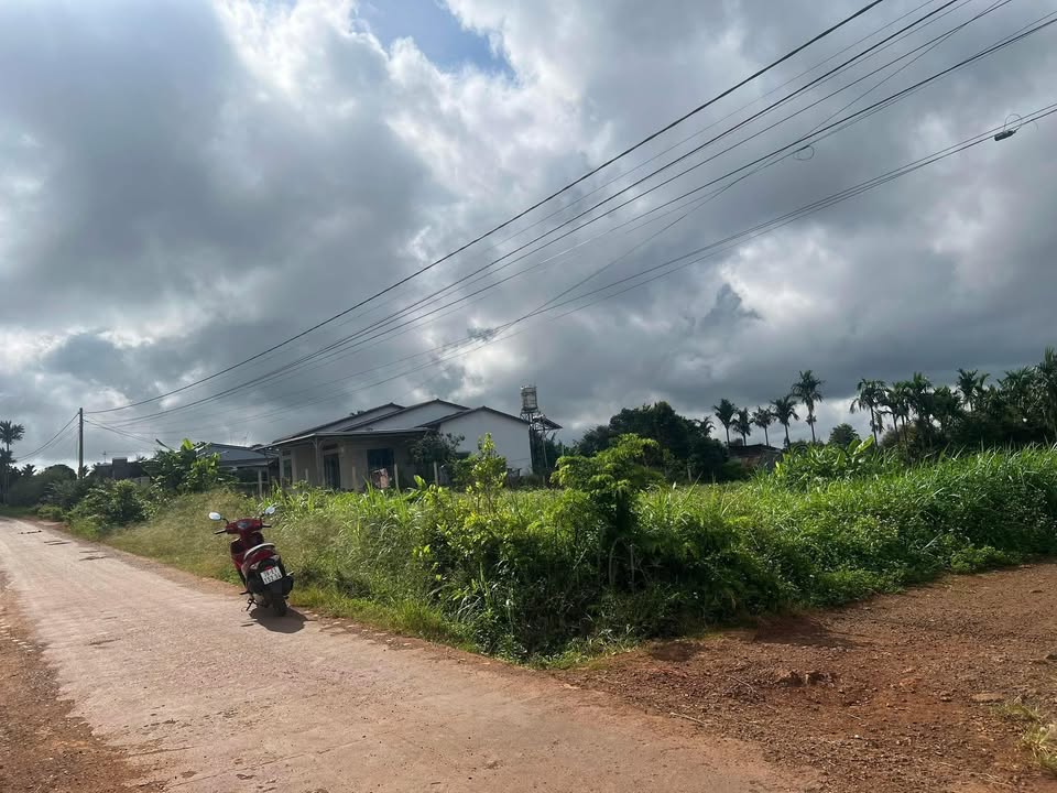 Đất nền Cư Bao, Buôn Hồ - Diện tích 1632m² giá 2 tỷ - Đầu tư sinh lời tốt!