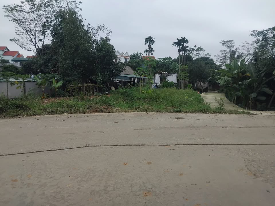 Đất 2 mặt tiền Vân Phú 346m² giá 6 tỷ - Lý tưởng cho nhà vườn!