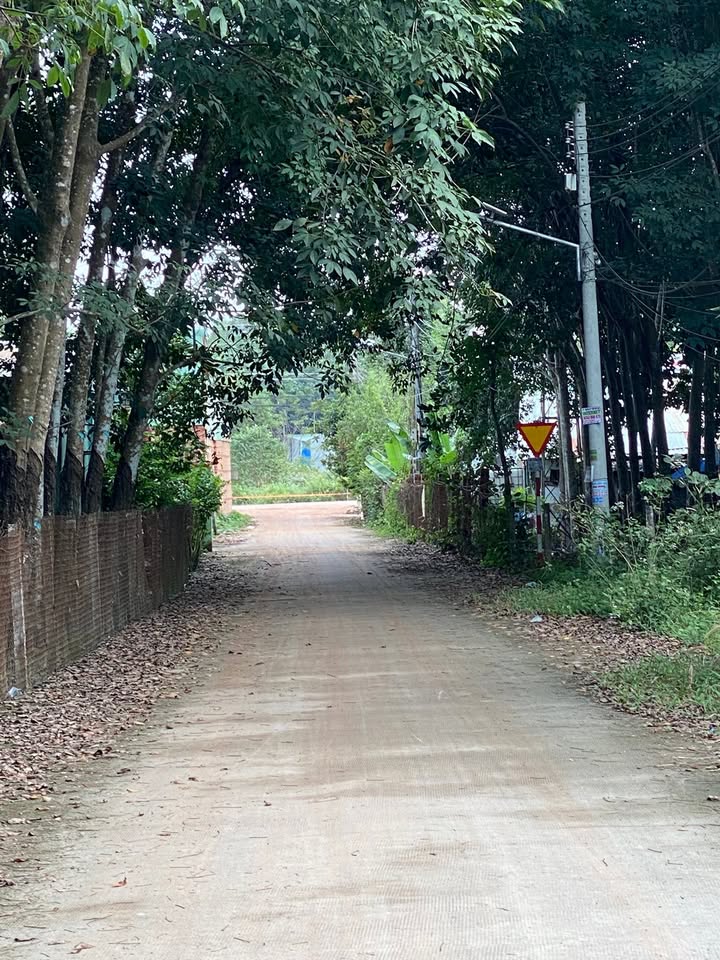 Đất chính chủ Tân Lập, Bắc Tân Uyên 310m² giá 2 tỷ - Pháp lý rõ ràng!