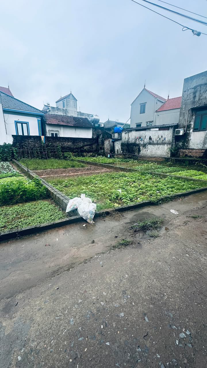 Đất nền Vân Tảo, Thường Tín 138m² giá 6.693 tỷ - Sổ đỏ chính chủ, hướng Đông