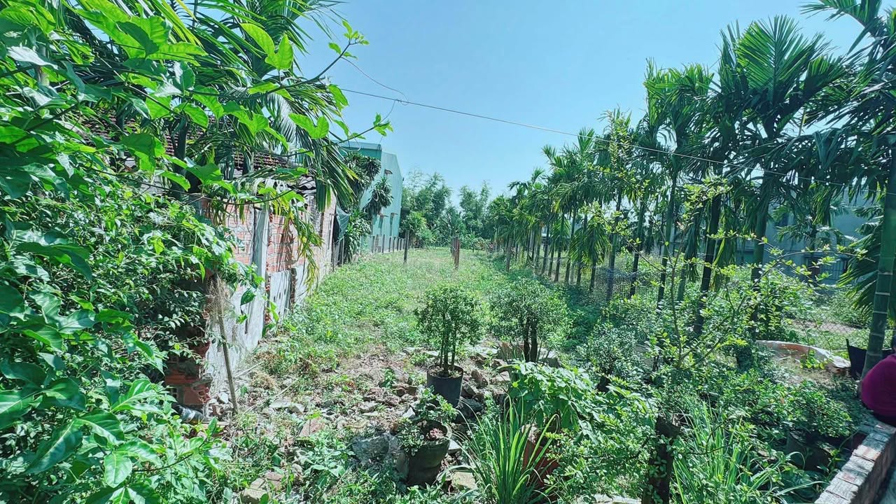 Đất thổ cư Phước Hiệp 100m² giá 400 triệu - Sổ hồng chính chủ sẵn sàng giao dịch!