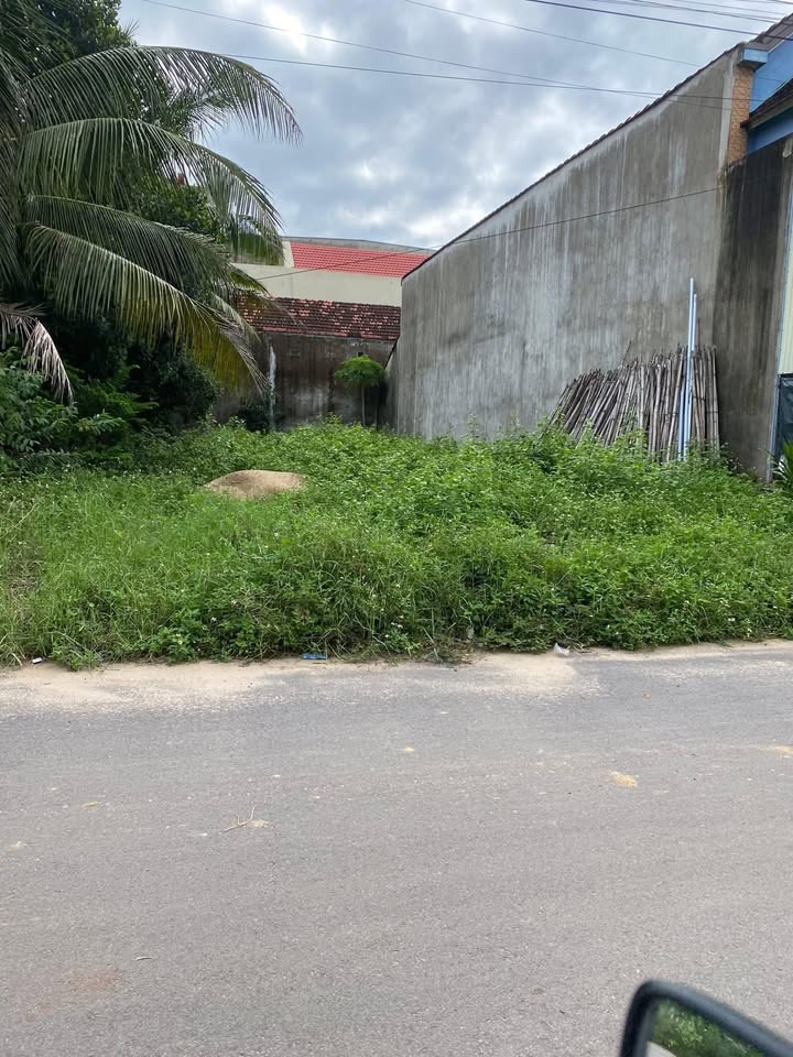 Đất nền Bình Nghi Tây Sơn 125m² - Gần Quốc Lộ 19, sổ đỏ chính chủ!