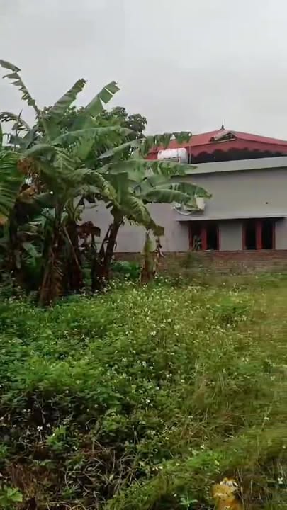 Đất nền Quỳnh Ngọc 100m² giá 500 triệu - Chính chủ cần bán gấp!