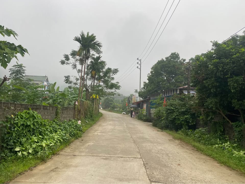 Đất vườn Cư Yên Lương Sơn 600m² giá 2 tỷ - Cơ hội đầu tư tuyệt vời!