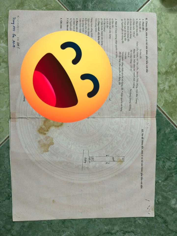 Lô đất 120m² tại Tân Liễu, Yên Dũng - Giá tốt, chính chủ bán ngay!