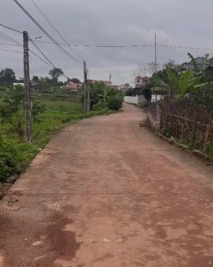 Đất nền Đào Mỹ, Lạng Giang 241m² - Vị trí đẹp, tiềm năng đầu tư!