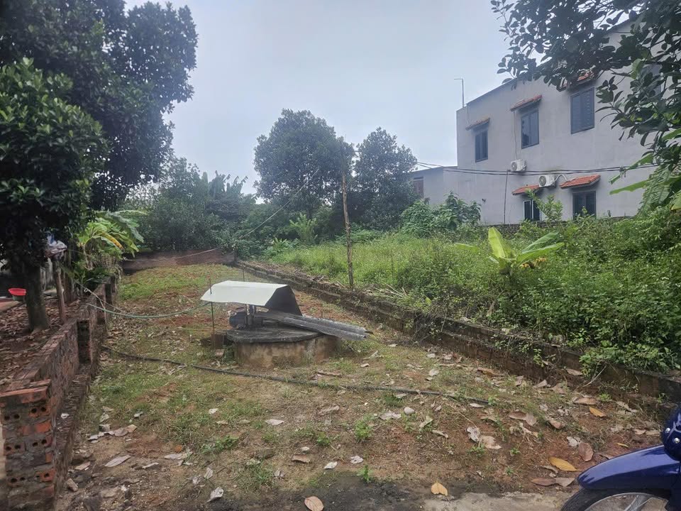 Đất nền đường Quế Hoa, Việt Trì 150m² giá chỉ 1 tỷ - Đầu tư sinh lời ngay!